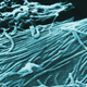 Image for article titled This is How Ebola Resists Treatment with Antibody Cocktails